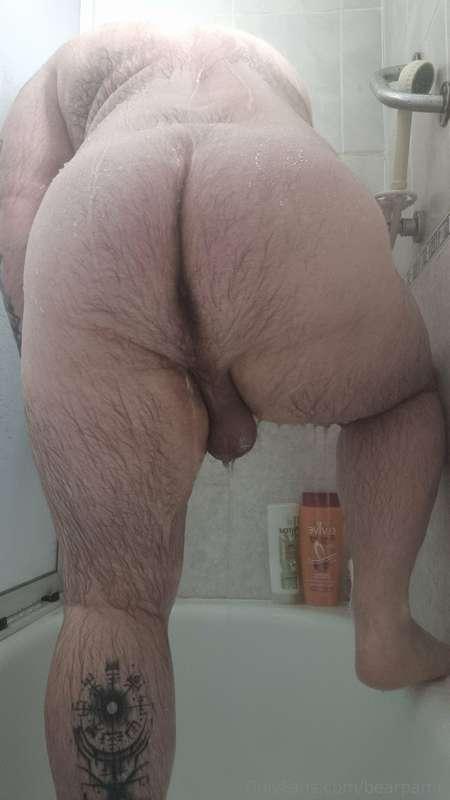 bearpamp image #1