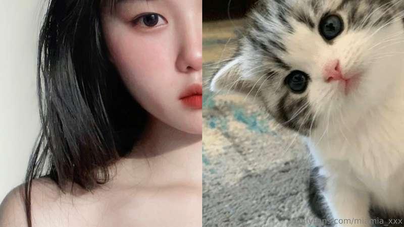 like a cat yet?
เหมือนแมวยังงง