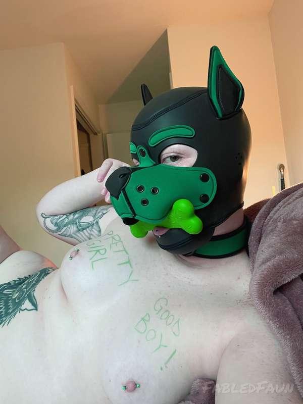 fabledfaun image #1