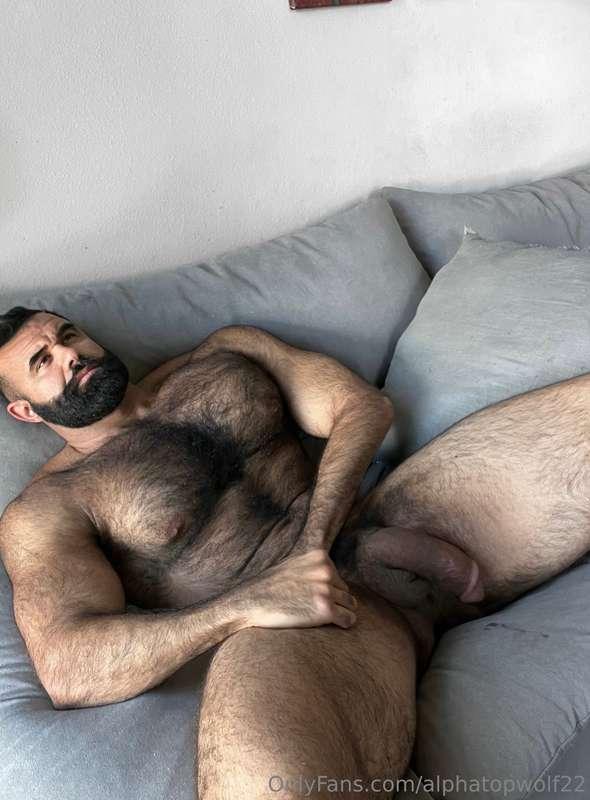 alphatopwolf22 image #2
