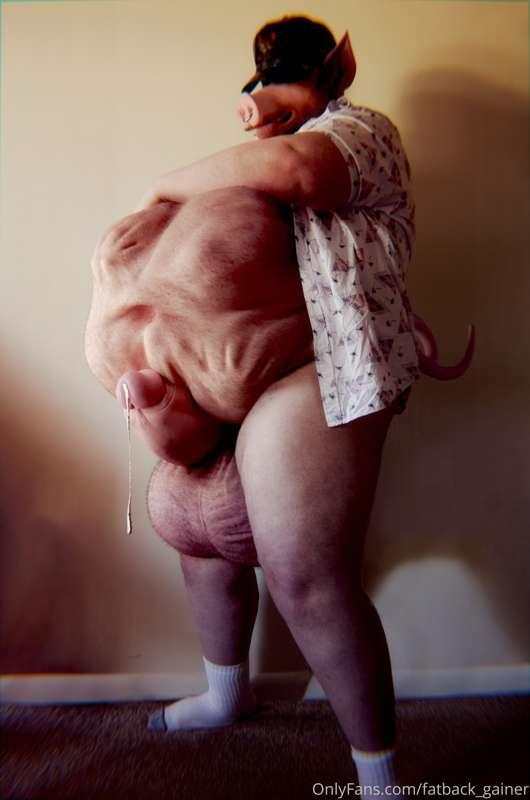 fatback_gainer image #1