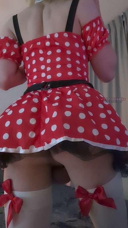 stephsis image #1