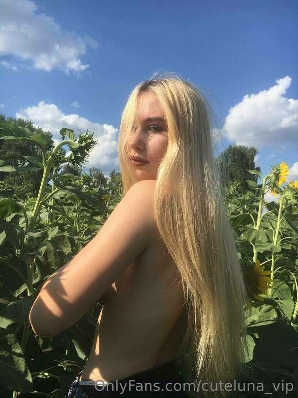 A warm summer day among sunflowers - sunny energy and romant..