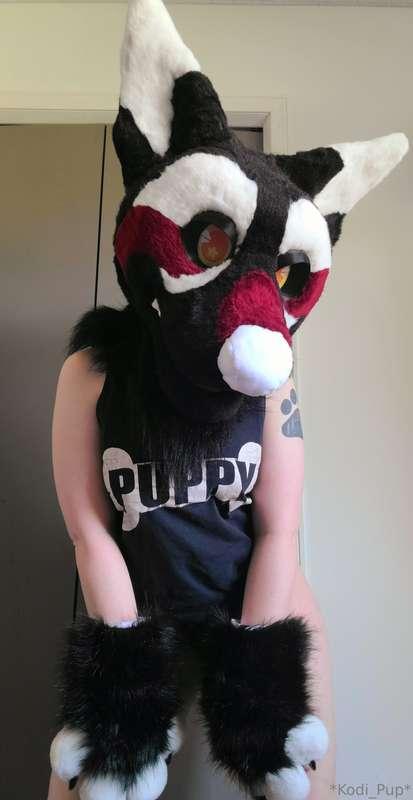 kodi_pup image #0