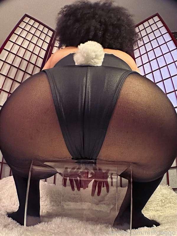 milfdoggo image #1