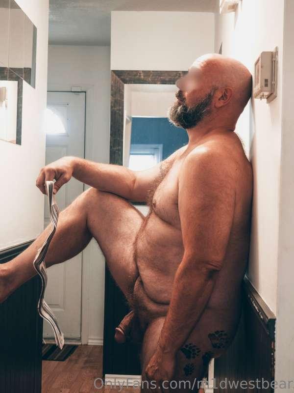 m1dwestbear image #13