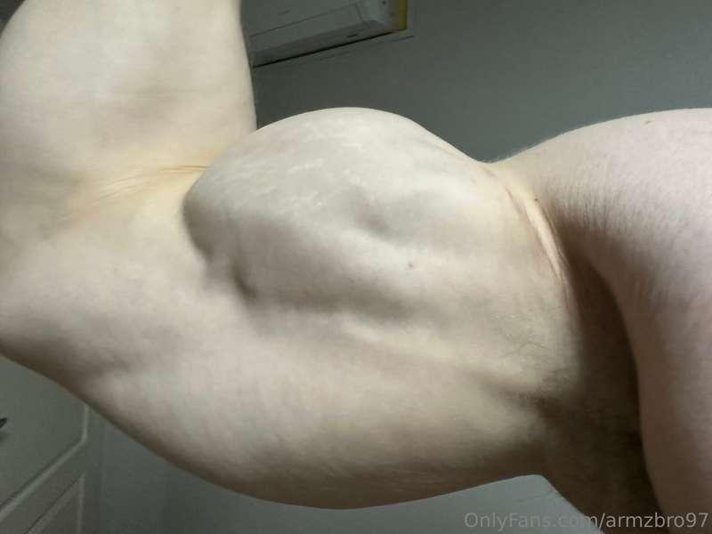 armzbro97 main image