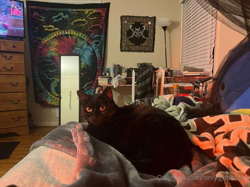 omg do u like my pussy?? 😂😂