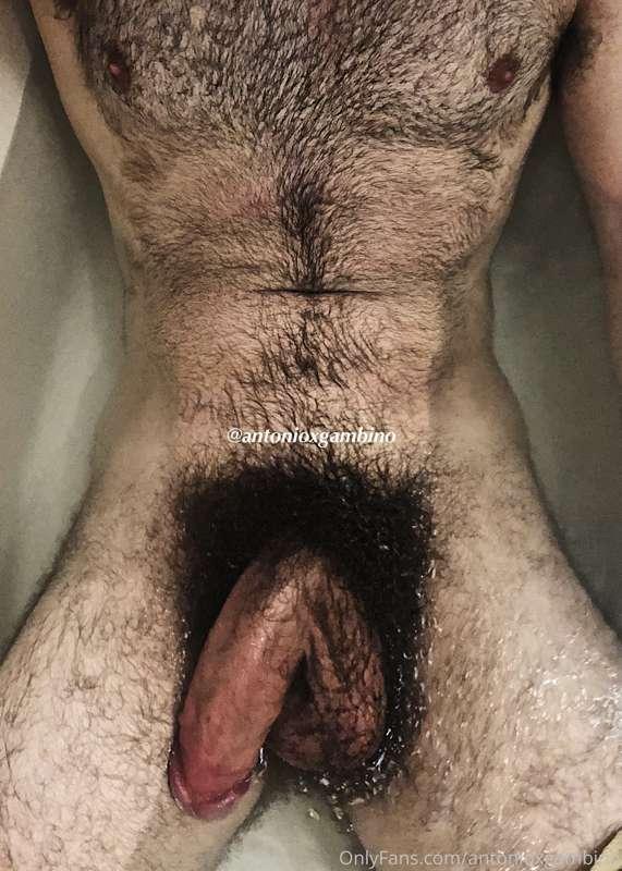 Would you shampoo and condition my bush?