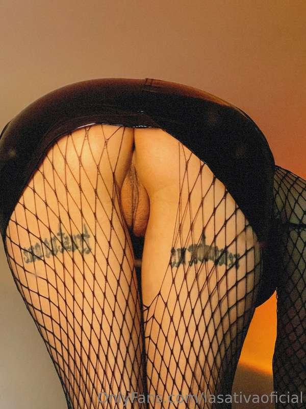 taysha_sativa image #0