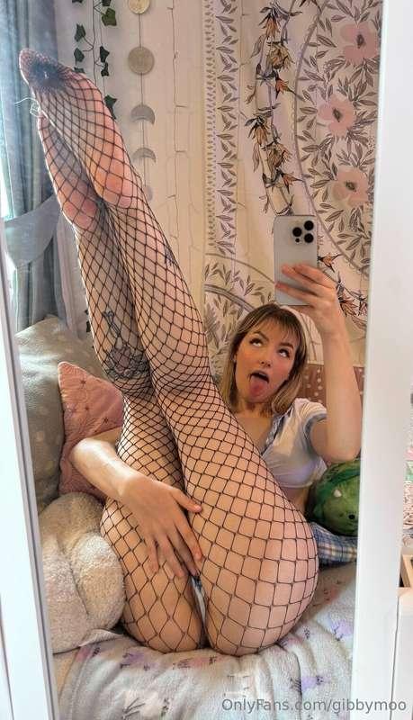 gibbymoo image #2