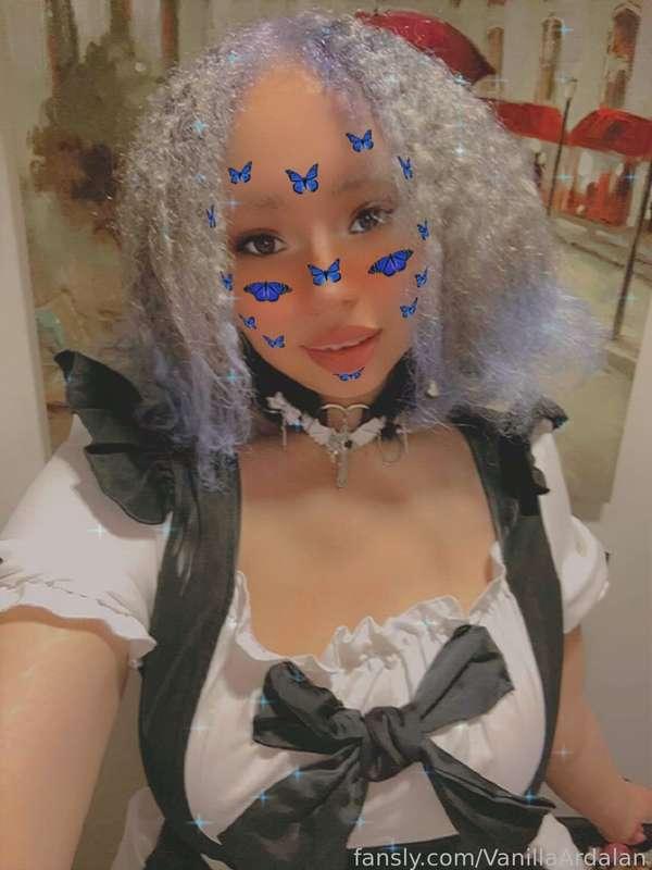 vanillaardalan image #5