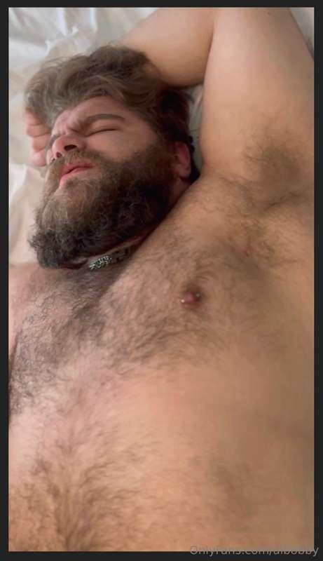 albobby image #8