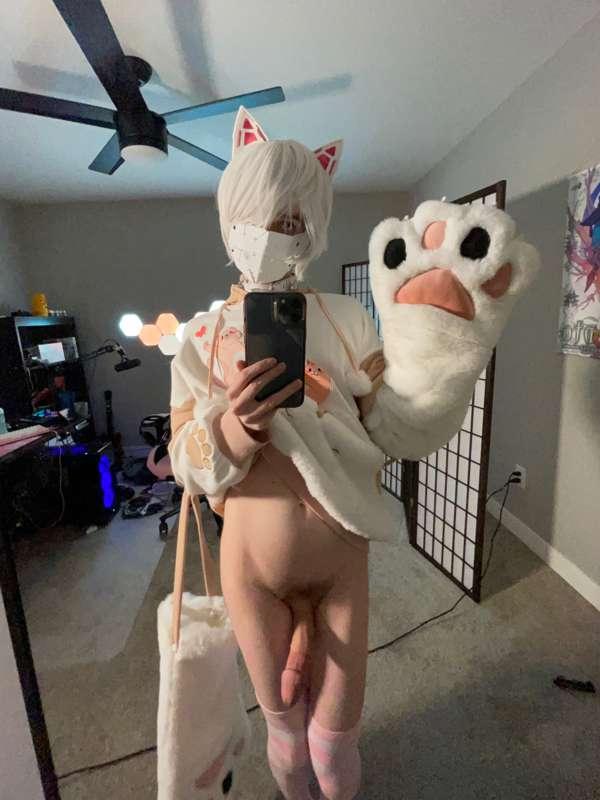 catboiaoi image #1