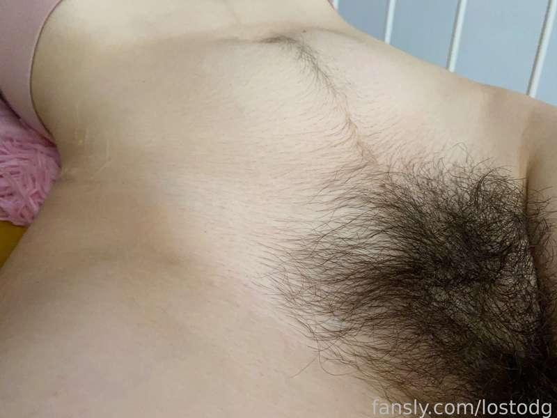 lostodg image #1