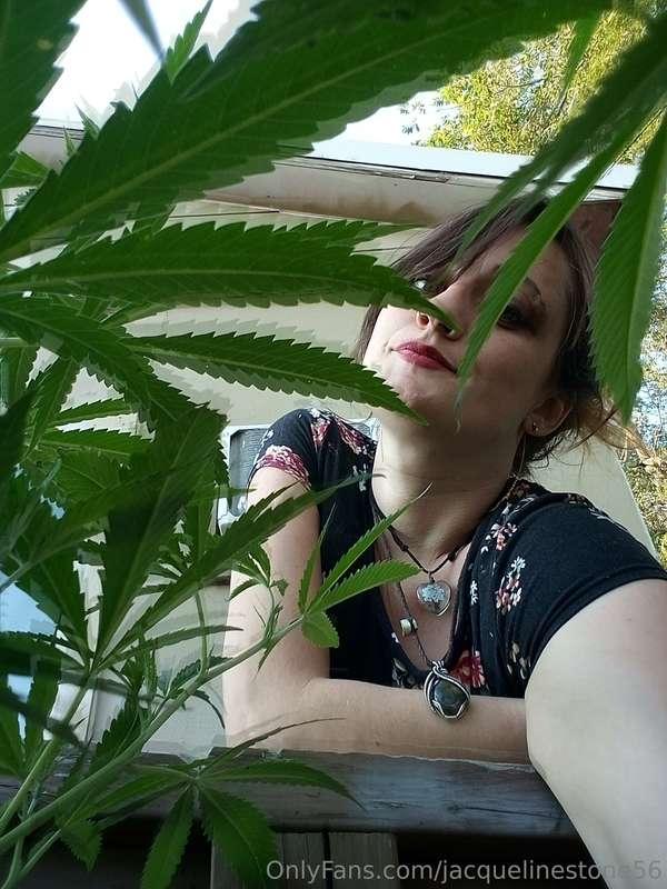 jacquelinestone56 image #4