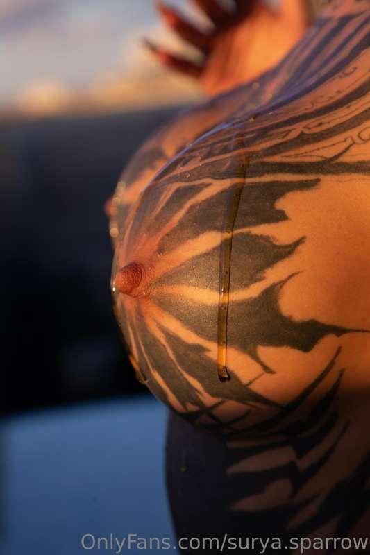 surya.sparrow image #0