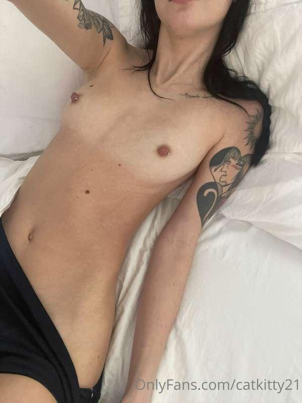 catkitty21 image #0