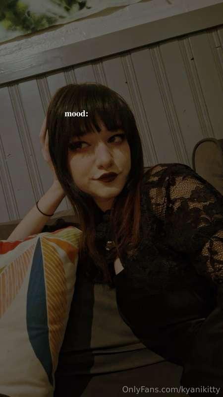 kyanikitty image #0