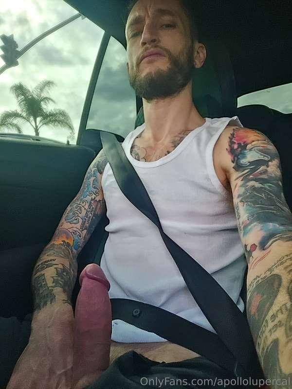 apollolupercal image #4