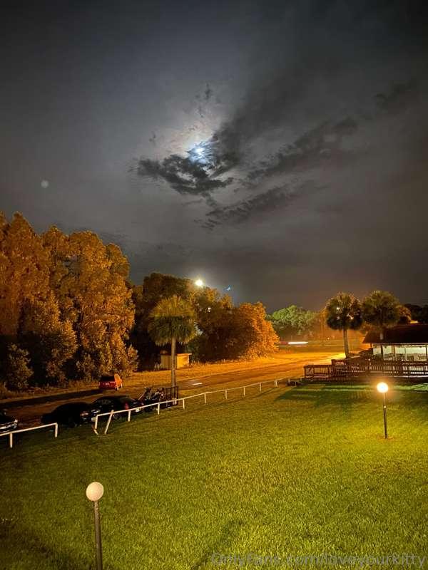 loveyourkitty image #10