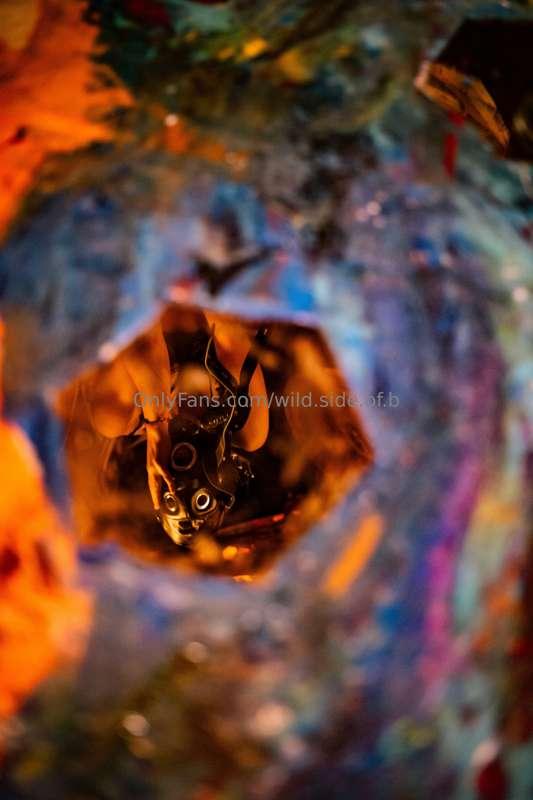 wild.side.of.b image #0