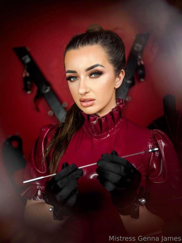 Anyone want to play? I need a play toy!