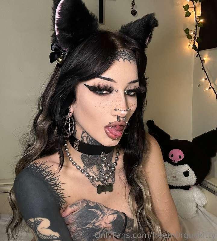 i look cute with a tail plug btw 😌