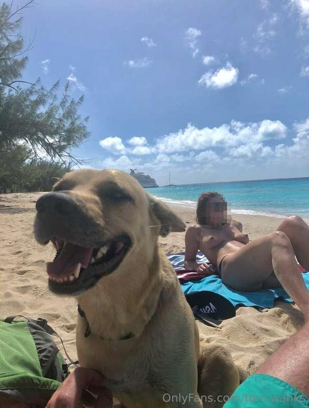 These puppies on the beach 🏝️ 😍