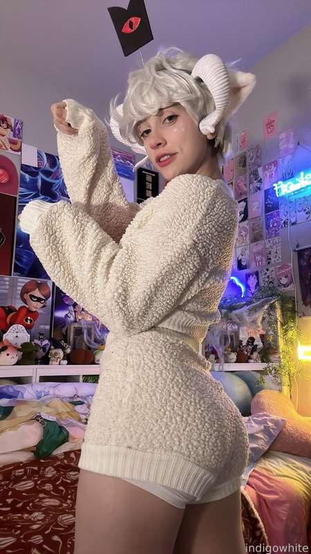 indigowhite image #139