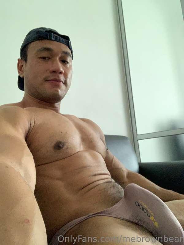 mebrownbear image #0