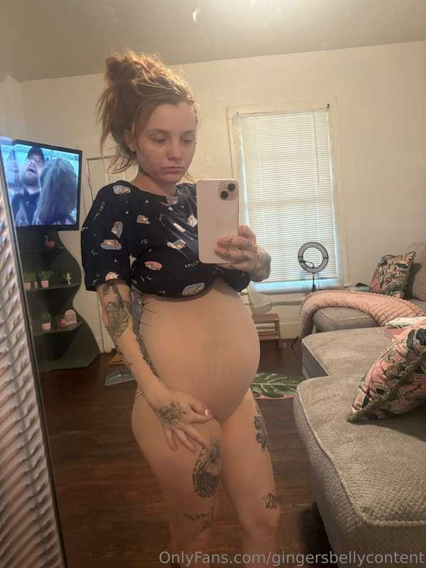 gingersbellycontent image #4