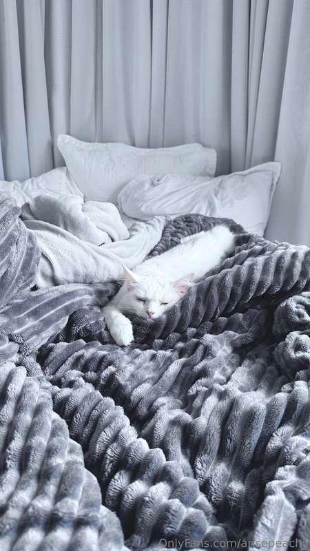 Sleeping Yuki ;3