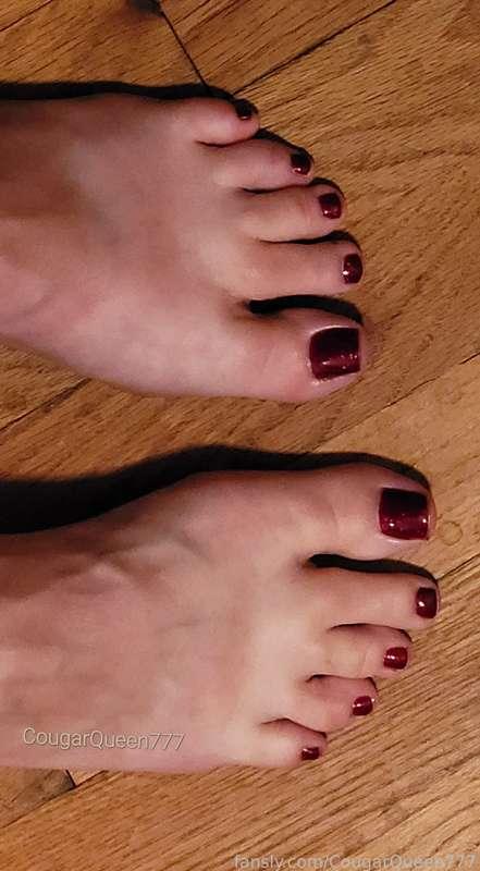 Where are my #feet lovers? It's been almost a year since my budget has allowed for a #pedicure 😥 If this post brings in $60 I'll get another one &amp; share lots of pics with you ❤️

#fyp #cougar #mature #milf #footfetish #redtoes 