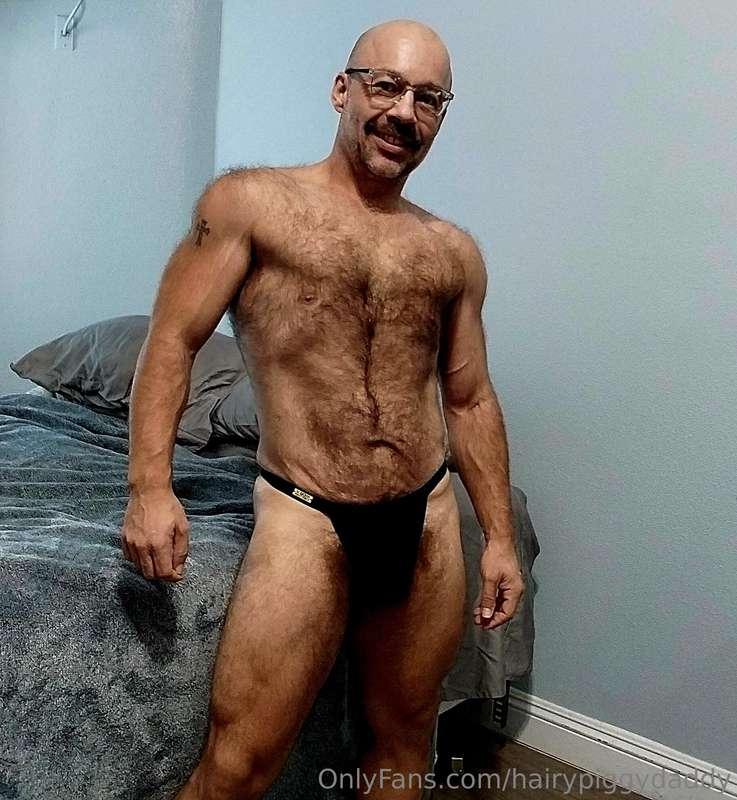 hairypiggydaddy image #0