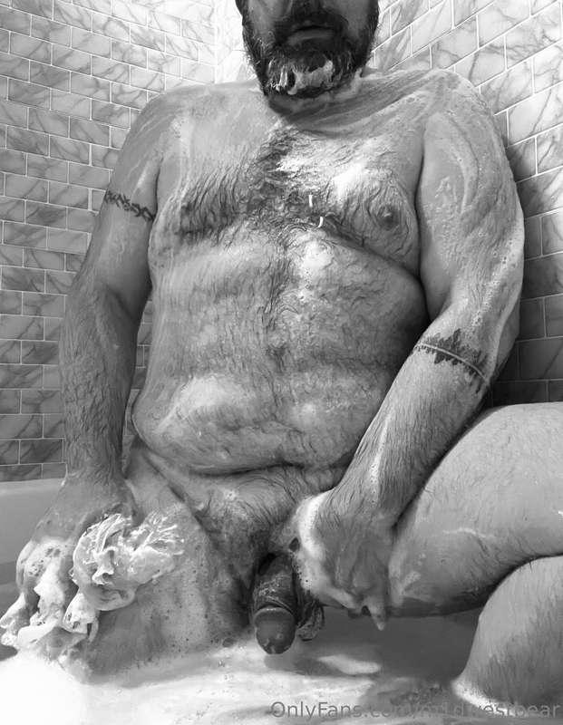 m1dwestbear image #0