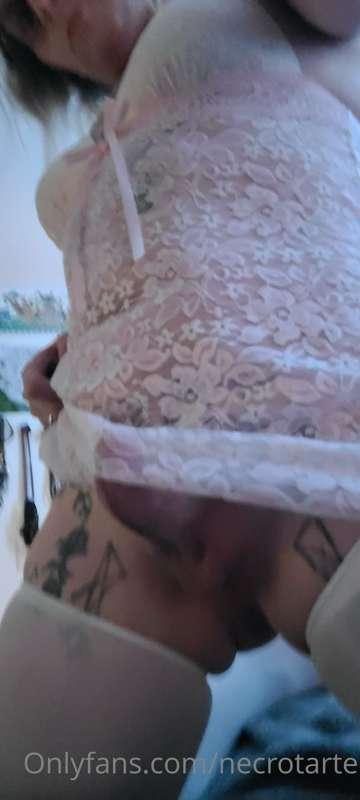 latrodectushex image #15