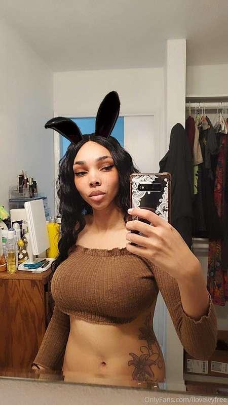 🐰🐰