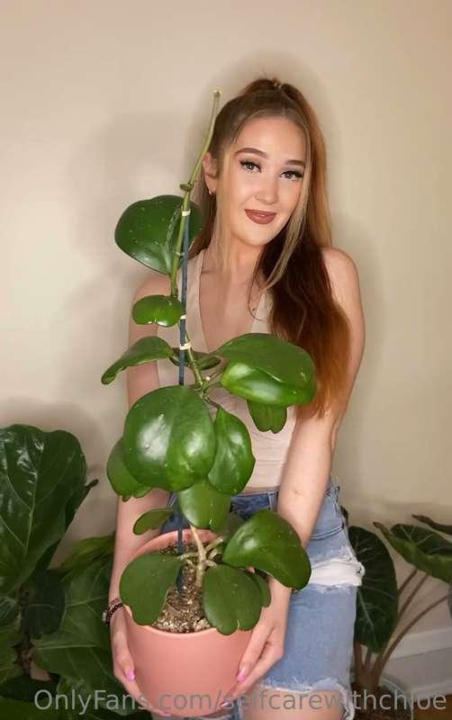 What do you all think of this plant? 😍🌱🪴❤️