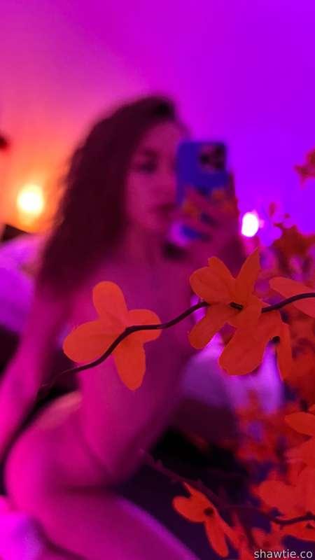 💕🌸