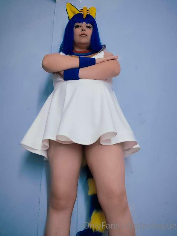 Aquí les comparto mi set de Ankha :3 
Fotitos sepsis con ven..