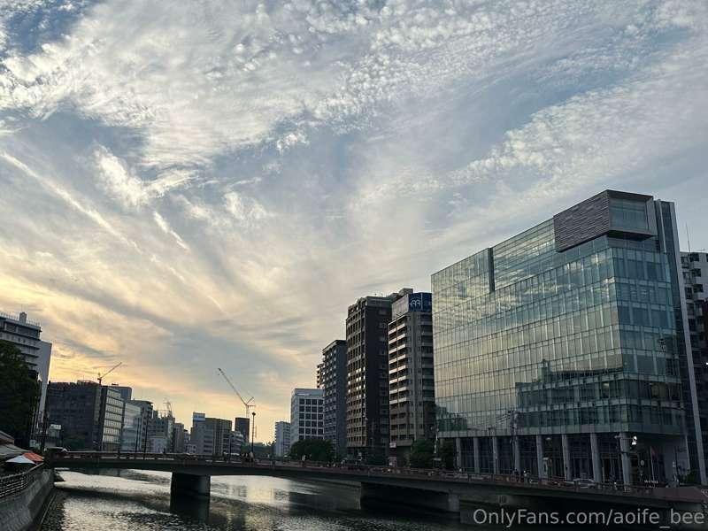 aoife_bee image #19