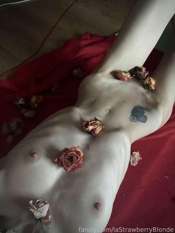 lastrawberryblonde image #16