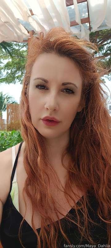 maya_dahlia image #1