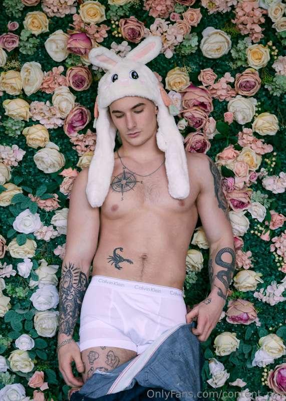 content_nyc image #2