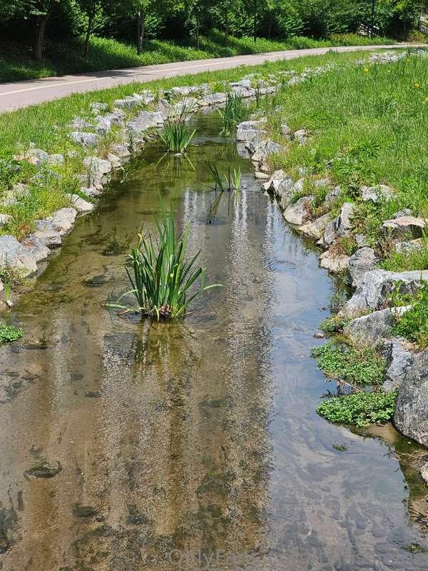 Just some pictures and a video by the river 😀 last picture i..