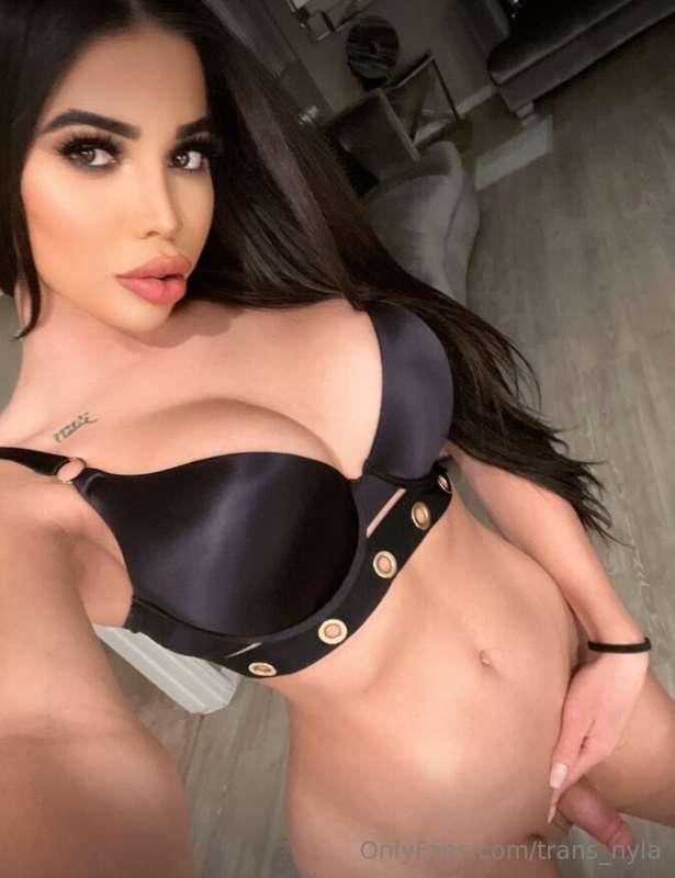 trans_nyla main image