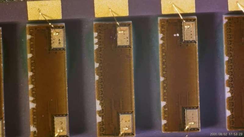 Golden Boi Teardown and more