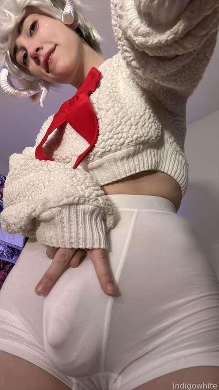 indigowhite image #107