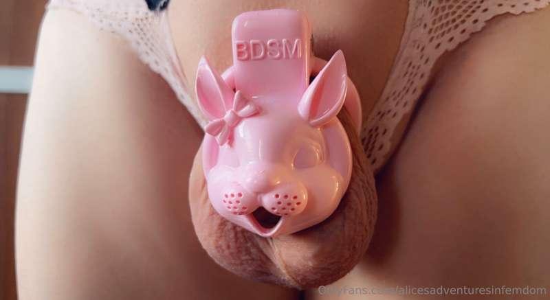 As cute as a bunny 🥹 my subs new cage is right on theme hehe..